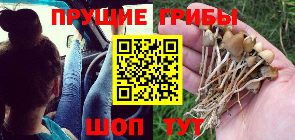 Псилоцибиновые грибы ЛСД  Вход с VPN  Сухой Лог 